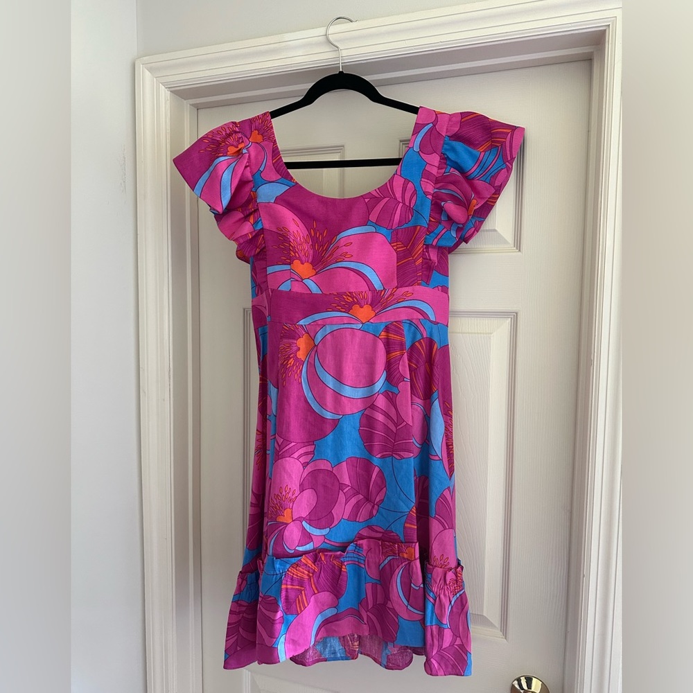 Cameran Eubanks Tuckernuck Dress